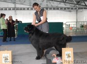 Превью фото № 154457