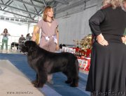 Превью фото № 154462