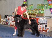 Превью фото № 154468