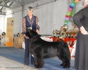 Превью фото № 154471