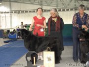 Превью фото № 154472