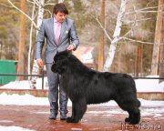 Превью фото № 154570