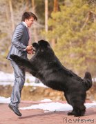 Превью фото № 154579