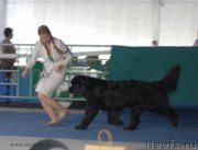 Превью фото № 154596