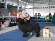 Превью фото № 154617