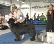 Превью фото № 154640