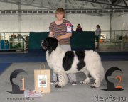 Превью фото № 154685