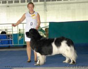 Превью фото № 154693