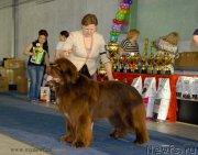 Превью фото № 154739