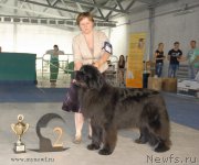 Превью фото № 154834