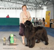 Превью фото № 154846