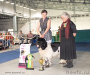 Превью фото № 154847