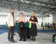 Превью фото № 154851