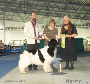 Превью фото № 154860