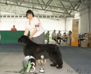 Превью фото № 154861