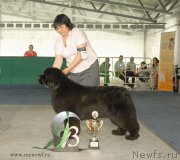 Превью фото № 154862