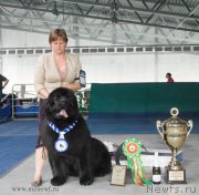 Превью фото № 154875