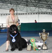 Превью фото № 154877