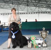 Превью фото № 154879