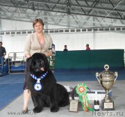 Превью фото № 154880