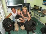 Превью фото № 154922