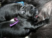 Превью фото № 154950