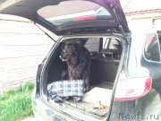 Превью фото № 154970