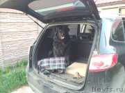 Превью фото № 154971