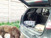 Превью фото № 154972