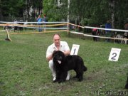 Превью фото № 155052