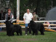 Превью фото № 155055