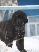 Превью фото № 155060