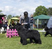 Превью фото № 155099
