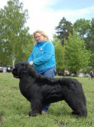 Превью фото № 155104