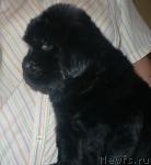 Превью фото № 15511