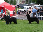 Превью фото № 155132