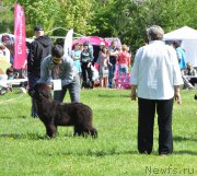 Превью фото № 155196