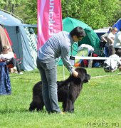 Превью фото № 155197