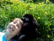 Превью фото № 155268