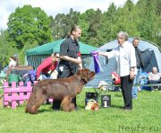 Превью фото № 155296