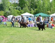 Превью фото № 155303