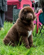 Превью фото № 155314