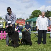 Превью фото № 155320