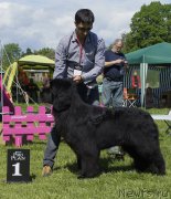 Превью фото № 155333