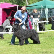 Превью фото № 155353