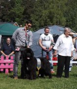 Превью фото № 155354