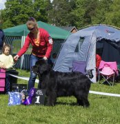 Превью фото № 155356