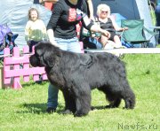 Превью фото № 155366