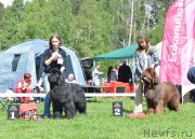 Превью фото № 155371