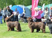 Превью фото № 155394